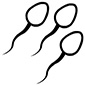 Sperm
